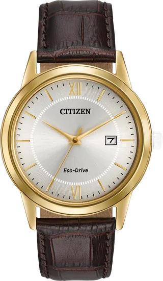 Citizen Corso