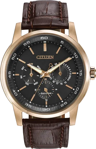 Citizen Corso