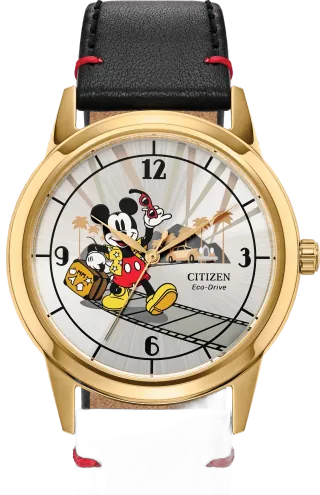 Citizen FE7063
