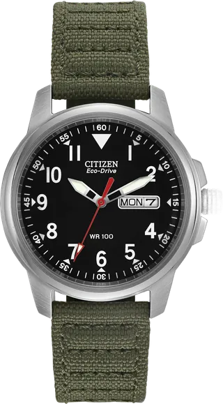 Citizen Garrison