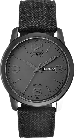 Citizen Garrison