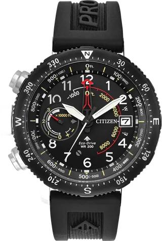 Citizen Promaster Diver