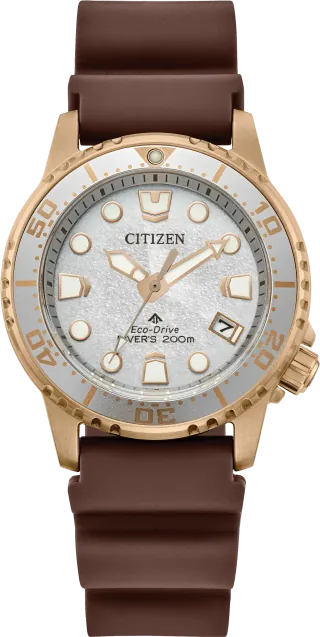 Citizen Promaster Diver