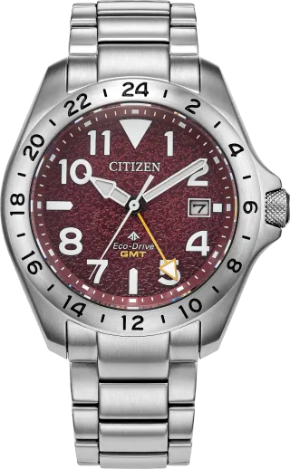 Citizen Promaster Land GMT