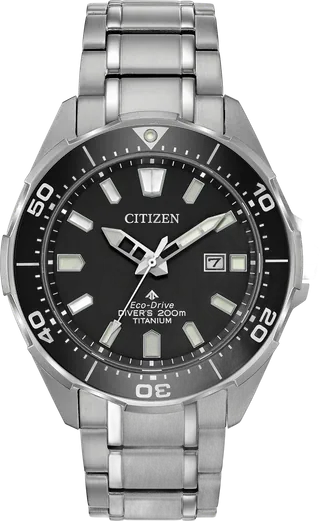 Citizen Promaster Professional Diver