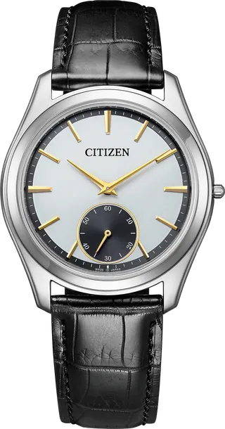 Citizen The Citizen Caliber 0100