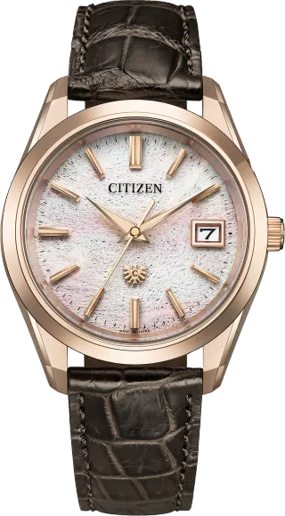 Citizen The Citizen Caliber A060