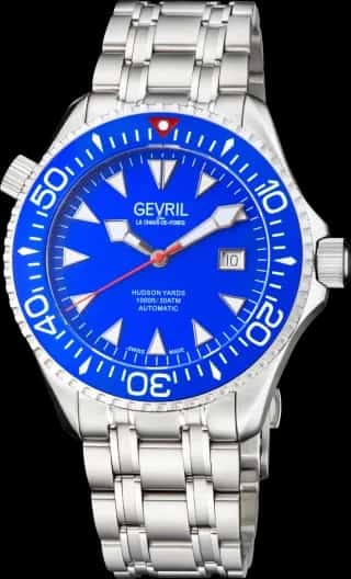 Gevril Hudson Yards Diver