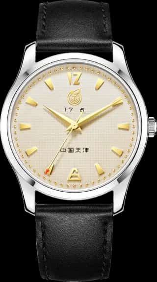 Seagull WUYI Reissue Vintage Business Leisure Watch 40mm