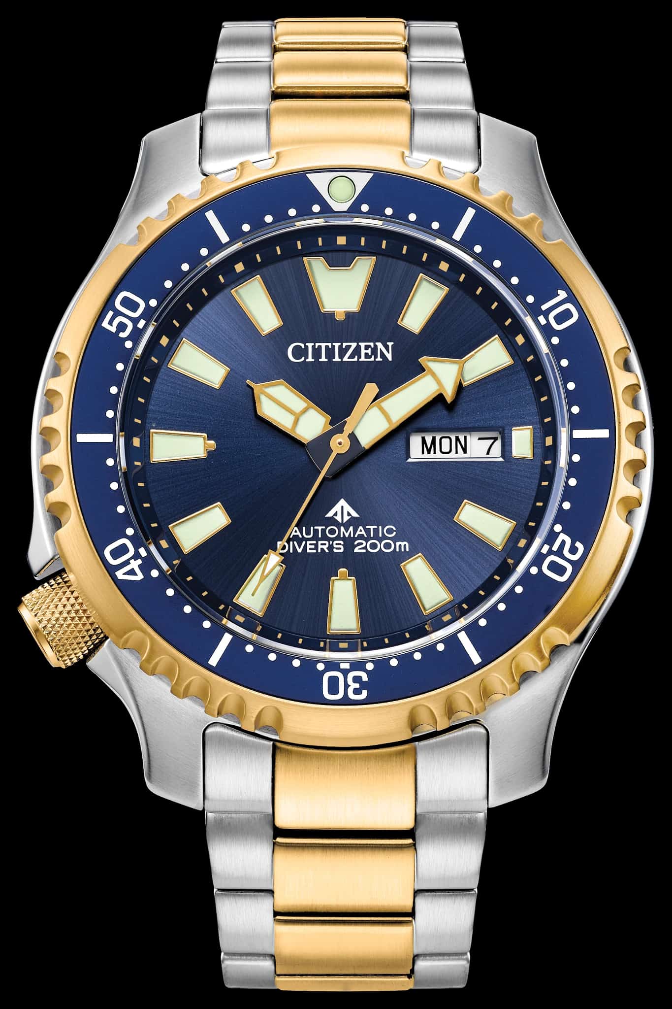Citizen Promaster Diver Automatic