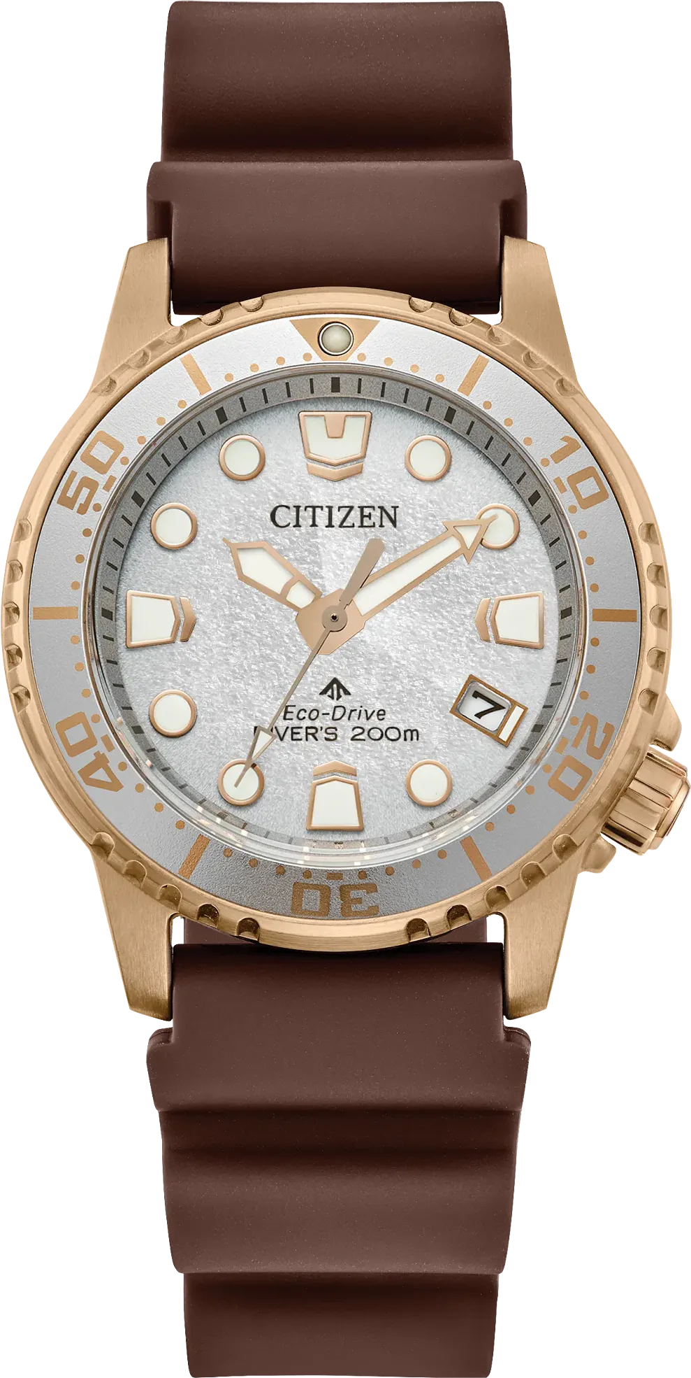 Citizen Promaster Diver — alternative to DOXA SUB 600T