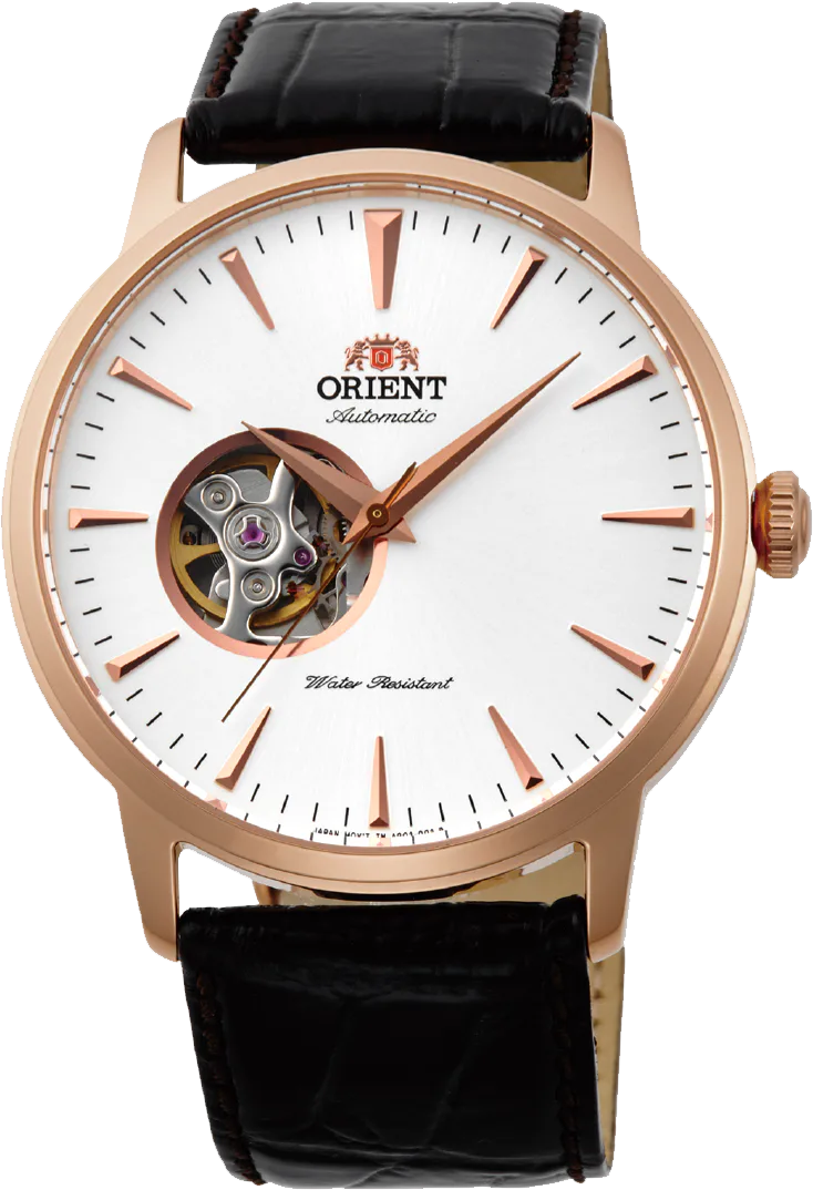 Orient Esteem II — alternative to Christopher Ward Twelve X Black Shadow
