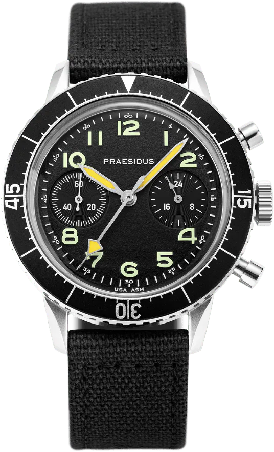 Praesidus Black Canvas — alternative to AVI-8 Raven Black