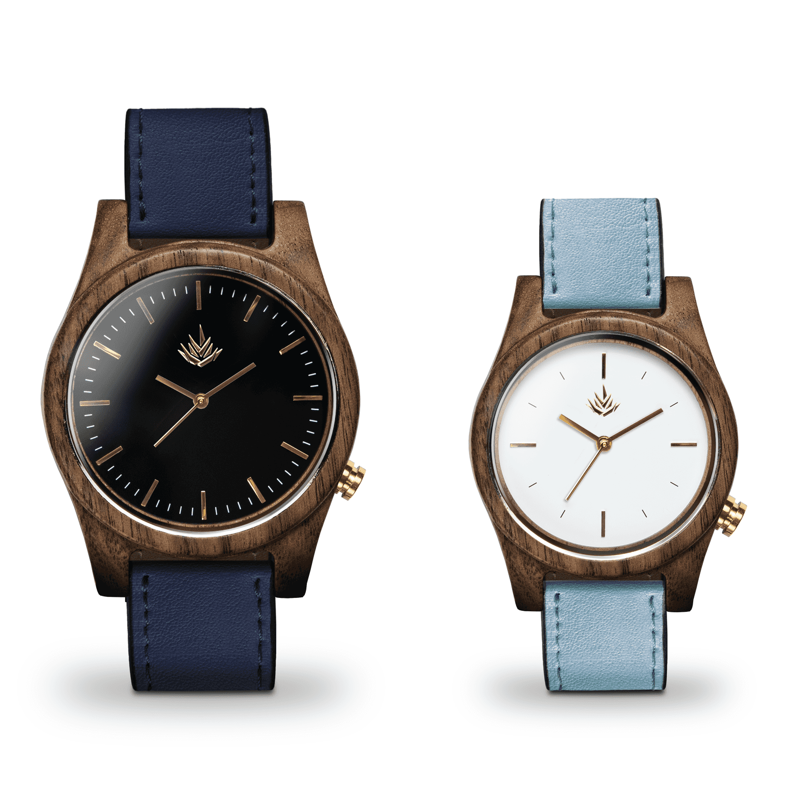 Agavus Agavia Line