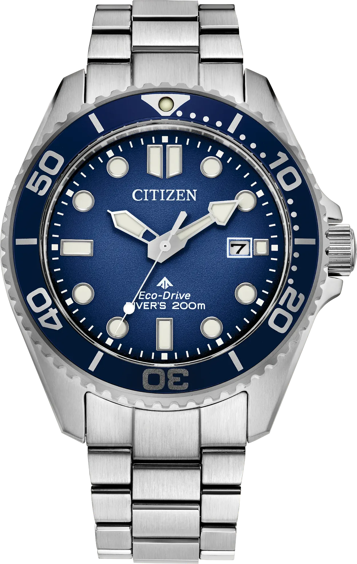 Promaster Diver