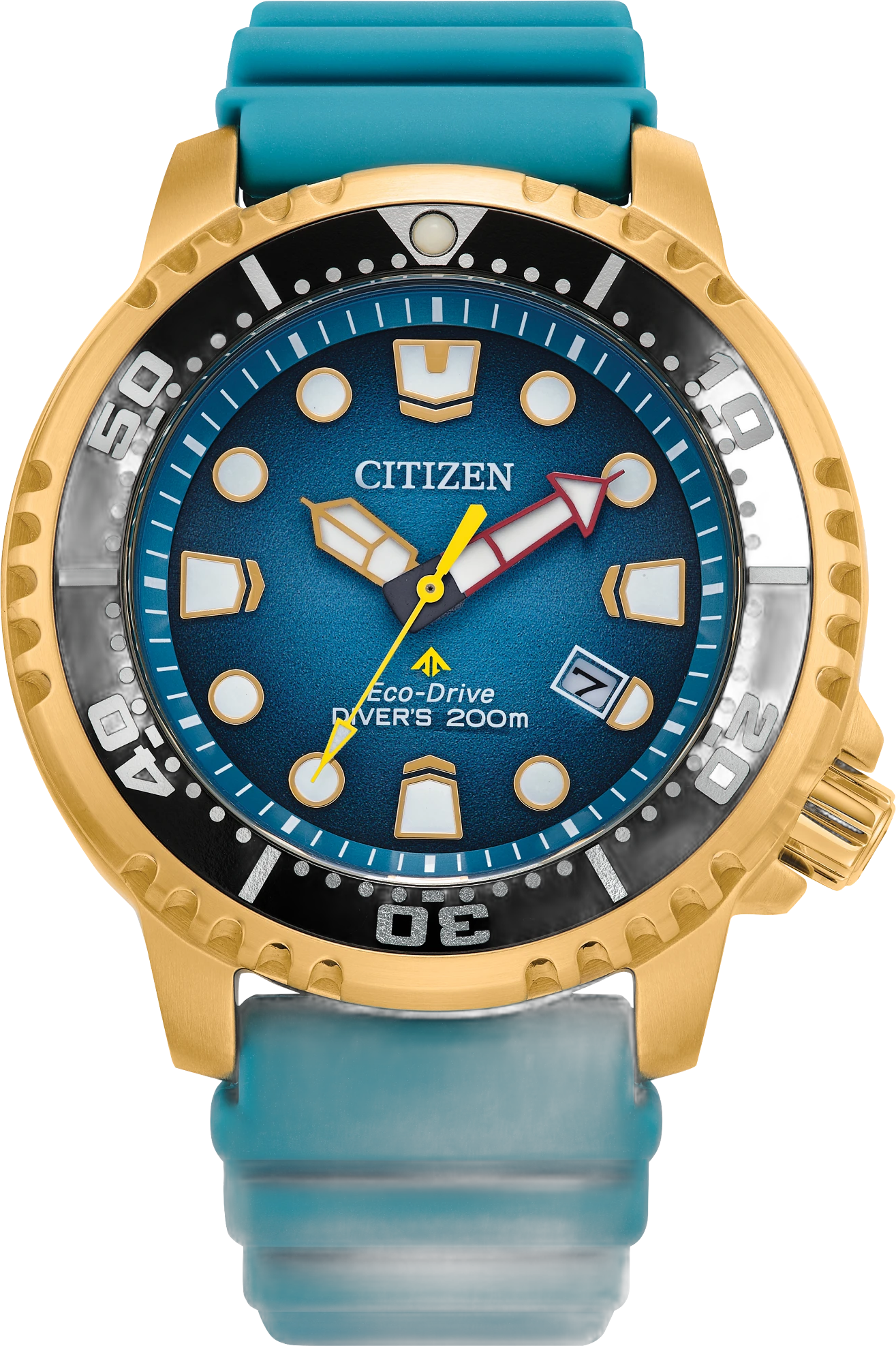Promaster Professional Diver Gold