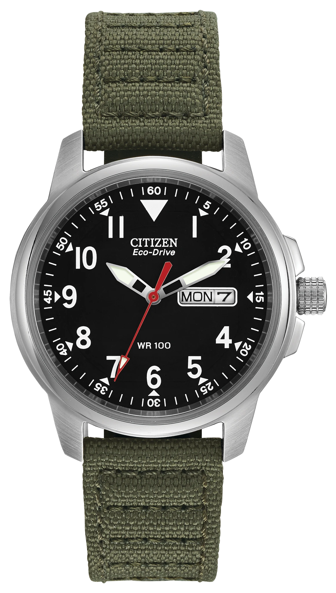 Citizen Garrison