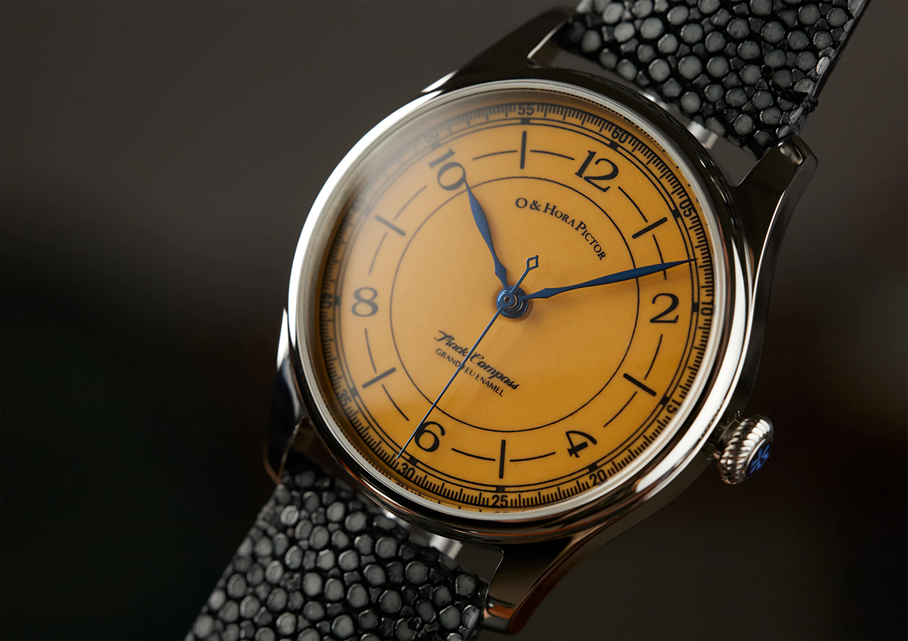 HoraPictor Yellow Track