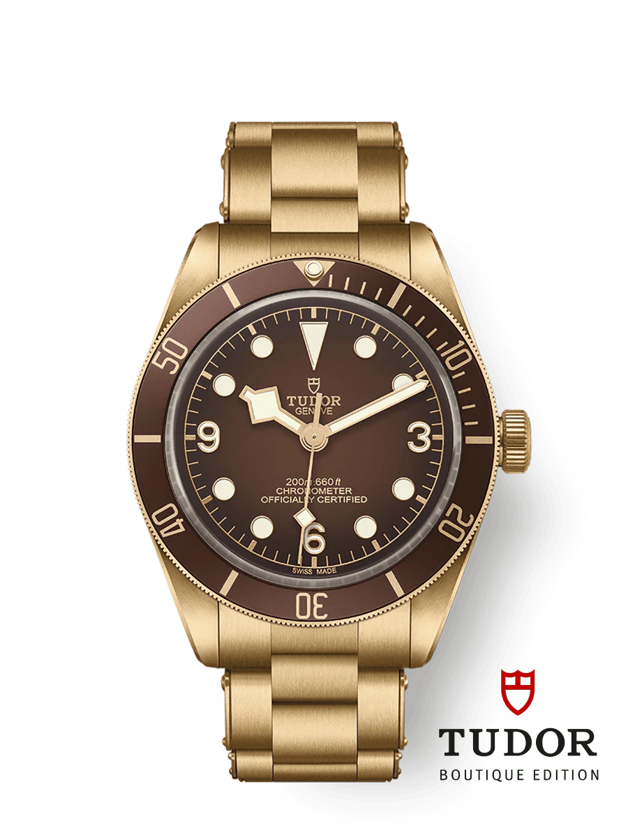 Tudor Black Bay 58 Bronze