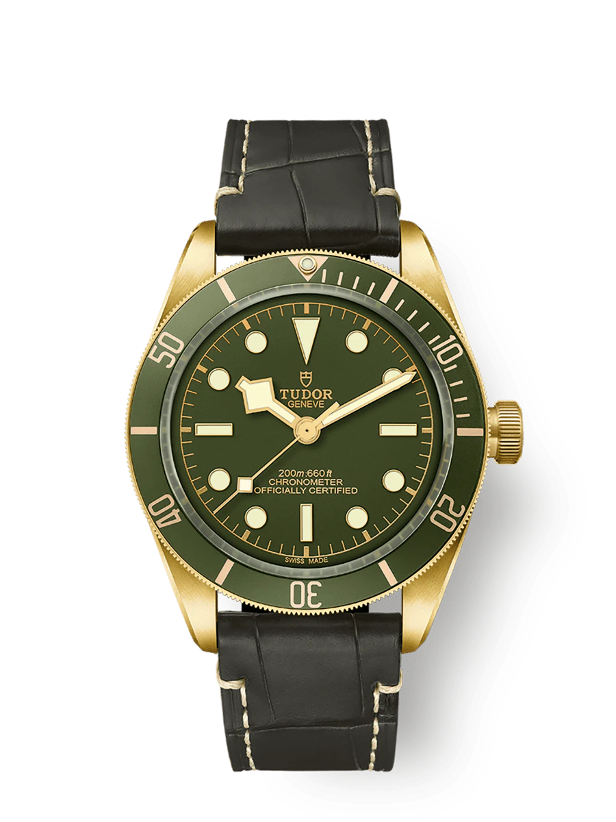 Tudor Black Bay 58 18K