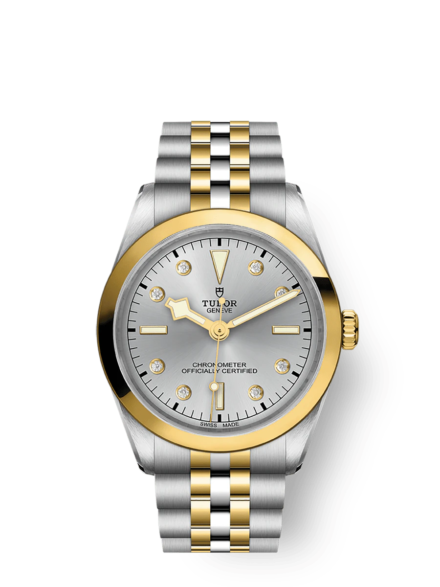 Tudor Black Bay One 36 S&G