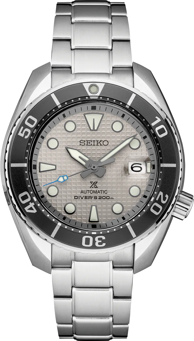 Ice Diver